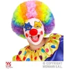 Image de Pruik Clown Multikleuren