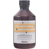 Image de Davines Natural Tech Nourishing Shampoo 250 Ml