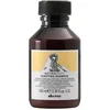 Image de Davines Natural Tech Purifying Shampoo -100ml