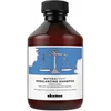 Image de Davines Naturaltech Rebalancing Shampoo 250 ml