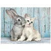 Image de Clementoni - Puzzel - 500 Stukjes - Kat en Konijn - Puzzel Voor Kinderen en Volwassenen - High Quality Collection