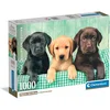 Image de Clementoni - Puzzel - 1000 Stukjes - Drie Labradors - Puzzel Voor Volwassenen - High Quality Collection
