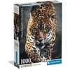 Image de Clementoni - Puzzel - 1000 Stukjes - Walk of the Jaguar - Puzzel Voor Volwassenen - High Quality Collection