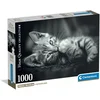Image de Clementoni - Puzzel - 1000 Stukjes - Kitty Compact Box - High Quality Collection
