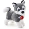 Image de Trudi Classic Knuffel Hond Husky 22 cm - Hoge kwaliteit pluche knuffel - Knuffeldier voor jongens en meisjes - Grijs Wit - 11x22x21 cm maat S
