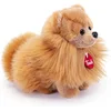 Image de Trudi - Classic Knuffel Hond Pomeranian Biscuit 23 cm - Handgemaakt in Italië - Pluche knuffel - Knuffeldier voor jongens en meisjes - Beige - 23x22x9 cm maat S