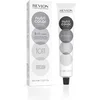 Image de Permanente kleurcrème Revlon Nutri Color 1011 - Intense Silver 3 in 1 (100 ml)