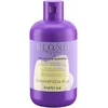Image de Tinting Shampoo for Blonde hair Inebrya BLONDesse 300 ml