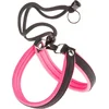 Image de FERPLAST HONDENTUIG AGILA FLUO 5 ROZE