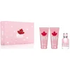 Image de Dsquared2 - Wood Femme - Giftset - Damesparfum