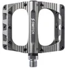 Image de Switch Freeride Pedalen Zilver
