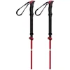 Image de Ferrino Spantik Stokken Zilver 115-135 cm