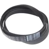 Image de WHIRLPOOL - SNAAR POLY-V - 1307 PJ 7 - ELAST. - 481010388414