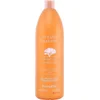 Image de Voedende Shampoo Argan Sublime Farmavita