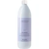 Image de FarmaVita Amethyste Cool Blonde Silver Shampoo 1000ml