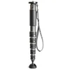 Image de Gitzo - GM4562 eXact carbon monopod series 4