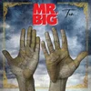 Image de Mr. Big - Ten (LP)