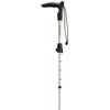 Image de Gabel Explorer Wired F.l Xtl Stokken Goud 97-110 cm Man,Vrouw