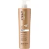 Image de Inebrya - Ice Cream Argan-age Pro-age Mask - Maska Proti Zacuchn A Krepat_n Vlas_ - 300ml