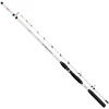 Image de Colmic Panter Xt Bodemvissen Hengel Zilver 2.70 m
