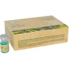 Image de Paul Mitchell Tea Tree Special Keravis Hair Lotion 12 X 6 Ml