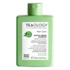 Image de Teaology Matcha Repair Shampoo 250 ml