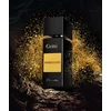 Image de Gritti Black Collection Rebellion Eau de parfum spray 100ml