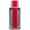 Image de Herenparfum Salvatore Ferragamo Red Leather EDP 100 ml