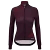 Image de Santini Pure Dye Trui Met Lange Mouwen Paars 3XL Vrouw
