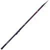 Image de Sele Competition Bolognese Hengel Zilver 4.00 m / 25 g