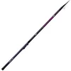 Image de Sele Competition Bolognese Hengel Zilver 6.00 m / 25 g