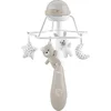 Image de Chicco Regenboog Neutral 3-in-1 Muziekmobiel 11041000000