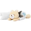 Image de Chicco Warm Cuddle Bear