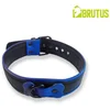 Image de BRUTUS Vegan Puppy Collar Black-Blue