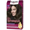 Image de Permanente Kleur Schwarzkopf PALETTE INTENSIVE Nº 4.1-CASTANO MEDIO CENIZA