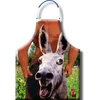 Image de Donkey Schort