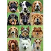 Image de Educa collage van honden puzzel 500 stukjes