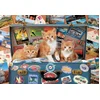 Image de Educa - puzzel - Kittens op Reis - 200 stukjes