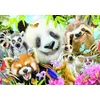 Image de Educa puzzel Black Eyed Friends Selfie 300 stukjes dieren.