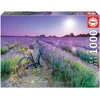 Image de Educa puzzel fiets lavendelveld 1000 stukjes voor volwassenen.