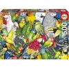 Image de EDUCA - puzzel - 500 stuks - papegaai