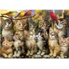 Image de Educa legpuzzel katten en vogels 500 stukjes dieren puzzel.