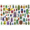 Image de Educa puzzel kevers - 500 stukjes dieren legpuzzel volwassenen.