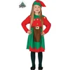 Image de Elf Outfit Meisjes - 3-4 jaar