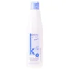 Image de Anti-Frizz Shampoo Salerm (500 ml)