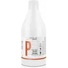 Image de Styling Crème Salerm Proteinas