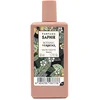 Image de VERBENA edt vapo 50 ml