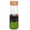 Image de Petit Boum - Babyspeelgoed sensorische fles met geluid - Meerkleurig