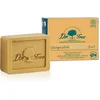 Image de Shampoo Bar Dr. Tree Revitalising 75 g