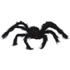 Image de Atosa Horror spin groot - Halloween decoratie/versiering - zwart - 50 cm- Griezelige thema accessoires